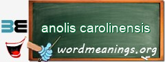 WordMeaning blackboard for anolis carolinensis
